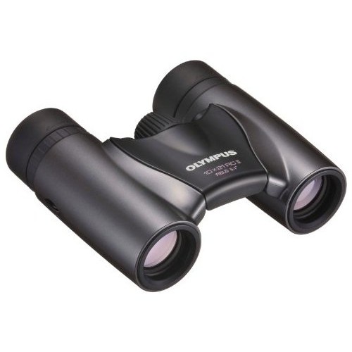 Binoclu 10x21 RC II Negru-argintiu
