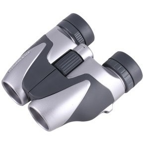 Binoclu Zoom PCI 10-30x25