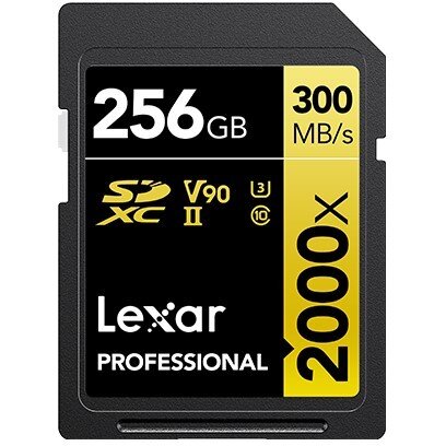Card SDXC 256GB Professional 2000x UHS-II U3
