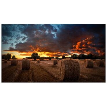 Display LCD  VM55B-U  55inch  Full HD Negru