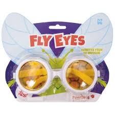 Experiment Ochelari De Musca