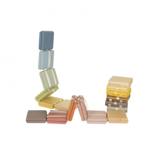 Jucarie Educativa Iacob