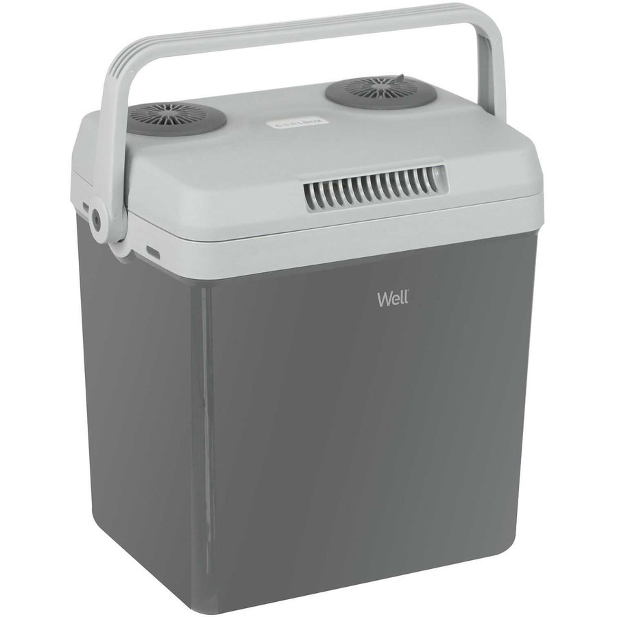 Lada Frigorifica 32L 58W Grey