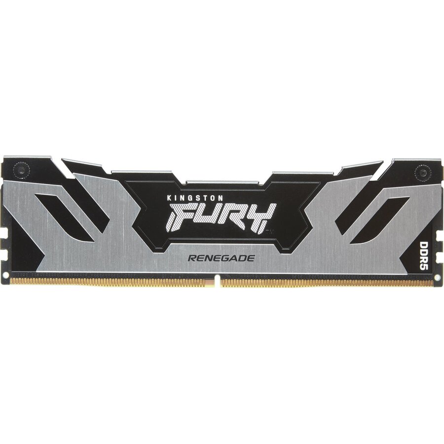 Memorie Fury Renegade Silver 48GB (1x48GB) DDR5 6000MHz