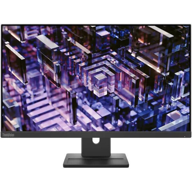 Monitor LED ThinkVision E24q-30 23.8 inch QHD IPS 4ms 100Hz Black