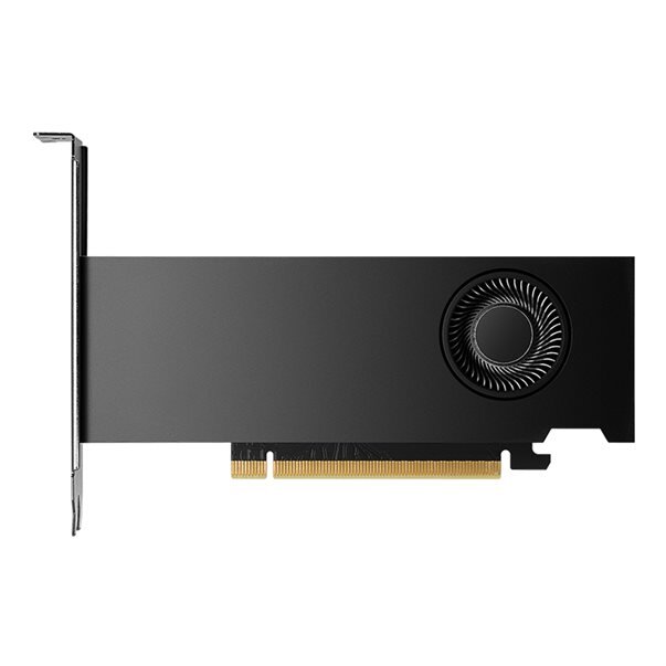 Placa Video 16GB RTX 2000 Ada LP Full Retail