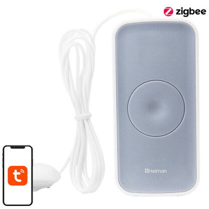 Senzor Inteligent de Inundatii HS1WL-E Precizie Ridicata IP67 Gri