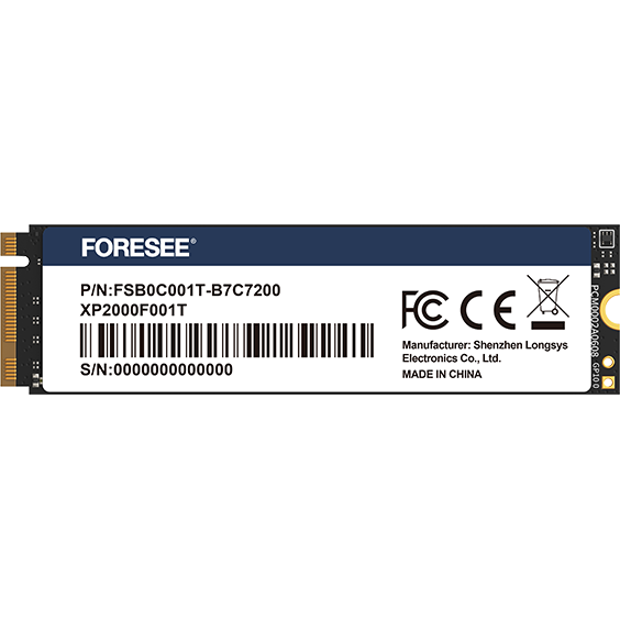 SSD M.2  1TB  XP2000  NVMe