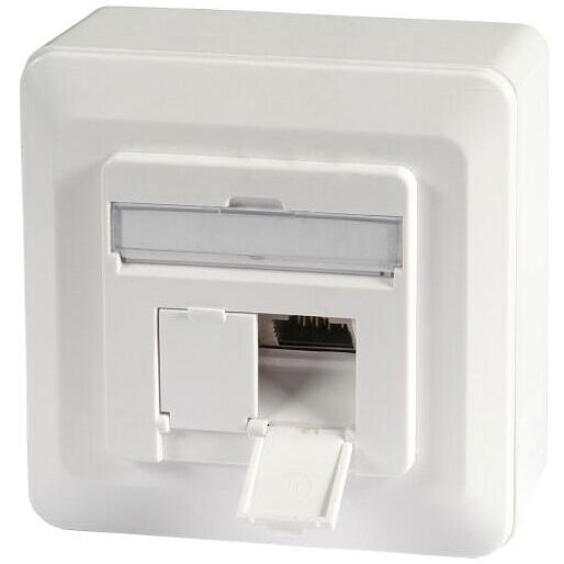 Accesoriu Retea Datendose Cat.6A 500MHz oben/unten, Aufputz, 2xRJ45,Alb