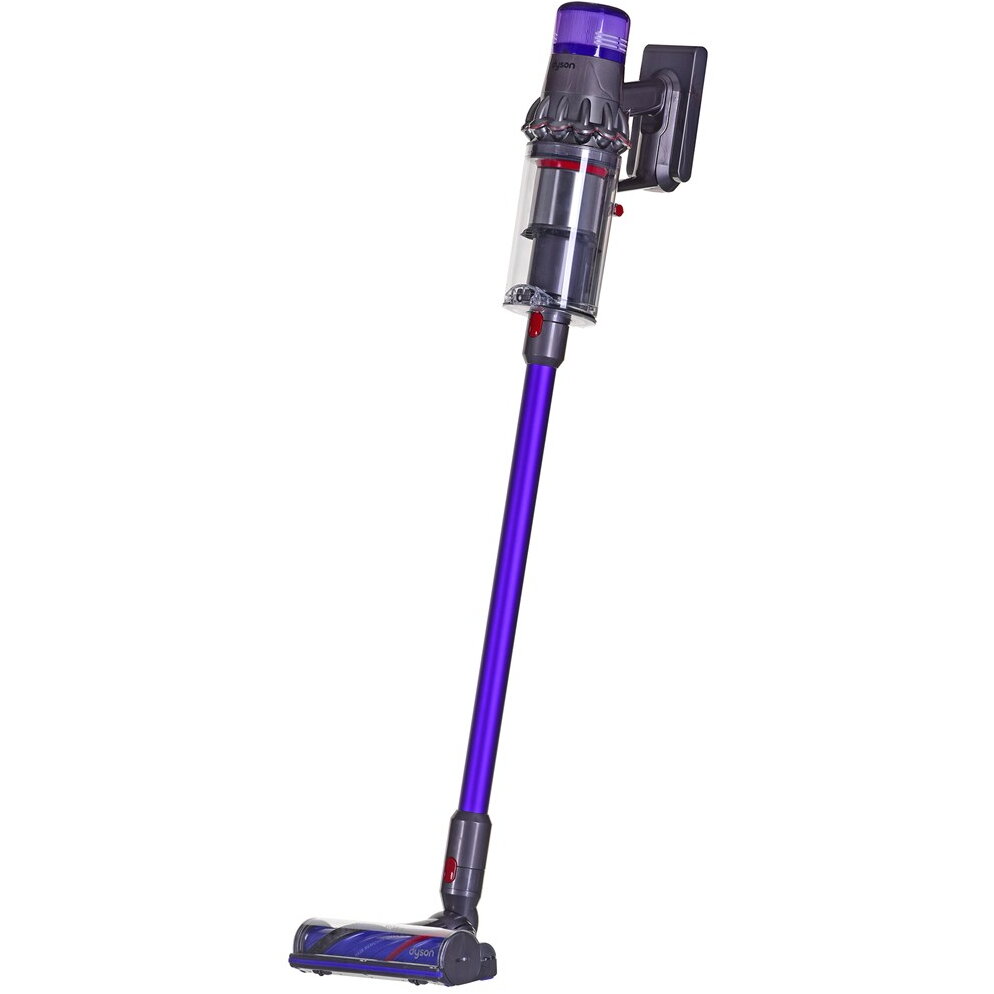 Aspirator vertical V11 Advanced