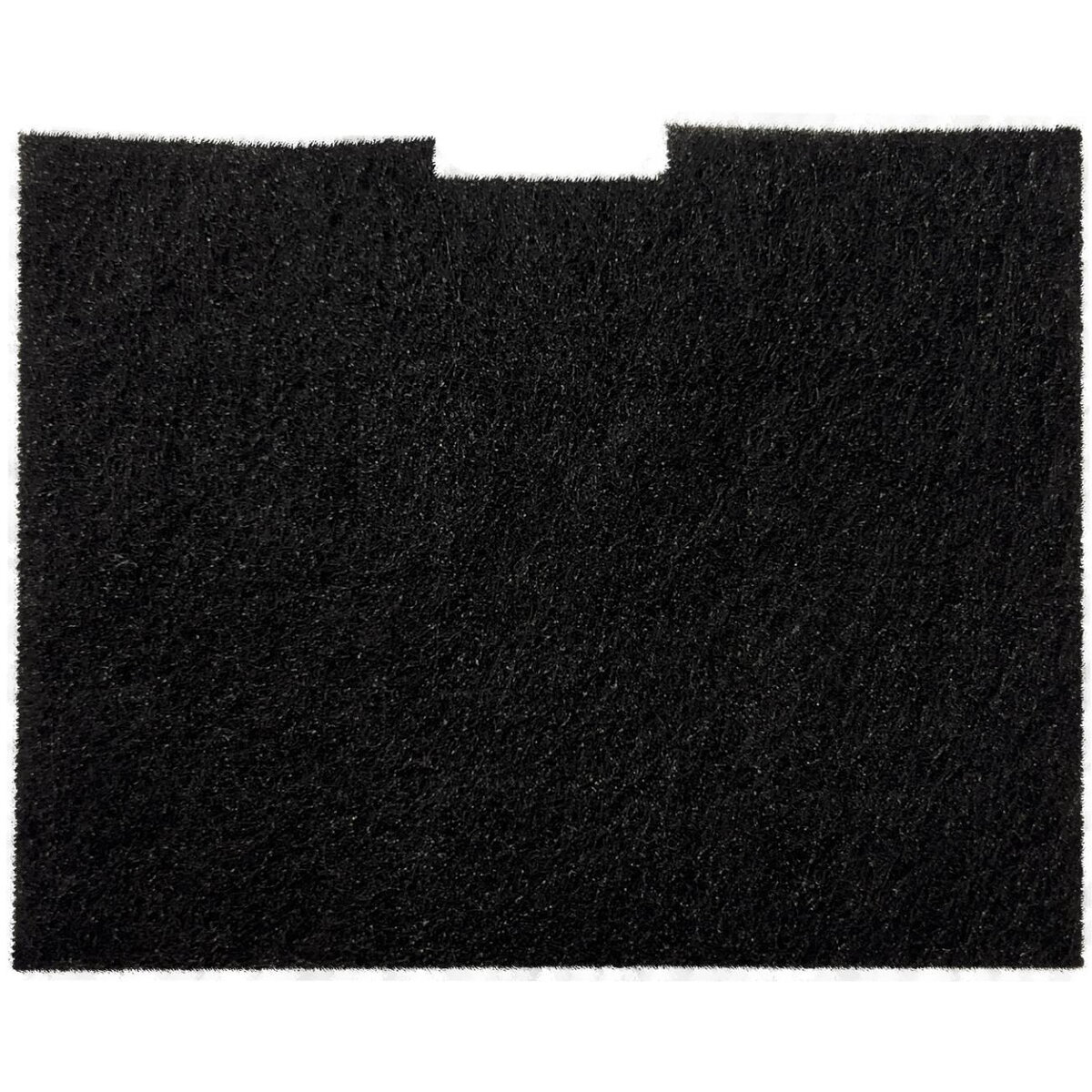 Filtru Burete Compatibil Cu Actve Eco Negru