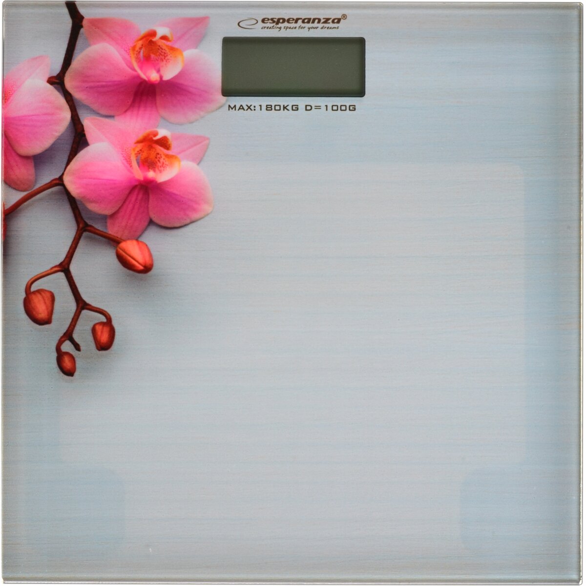 Cantar corporal EBS010 Electronic personal scale