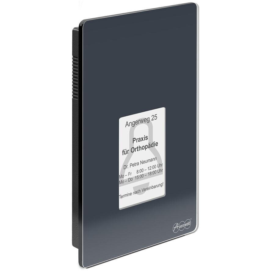 Interfon TFS-Dialog 400, 4 Posturi, anthrazit