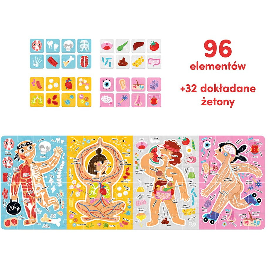 Puzzle This is how my body works