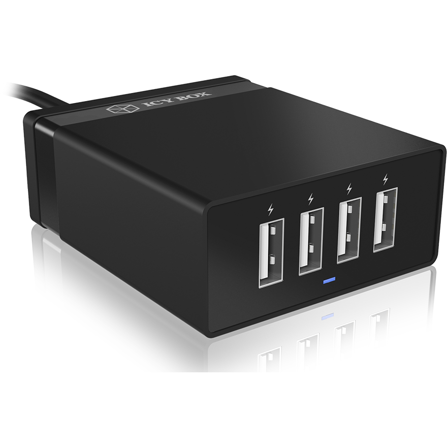 Raidsonic ICY Box IB-CH402